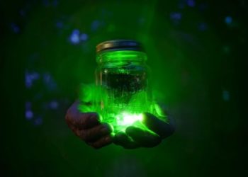 Memória quântica: o experimento científico que conseguiu capturar e transportar a luz