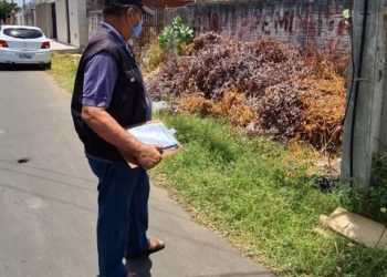 Fiscalização da SDU Sul atendeu 719 demandas feitas no aplicativo Colab