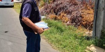 Fiscalização da SDU Sul atendeu 719 demandas feitas no aplicativo Colab