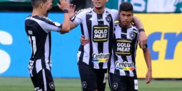 Botafogo pode ser rebaixado na próxima rodada