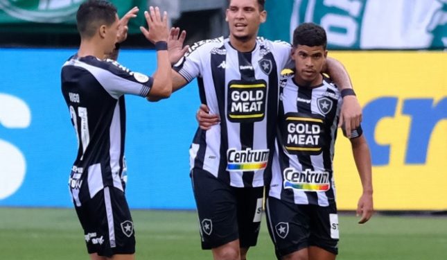 Botafogo pode ser rebaixado na próxima rodada