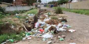 Semduh gastou R$ 382 mil em janeiro para recolher lixo descartado em local proibido