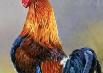 PUBLICIDADE: A INDÚSTRIA QUE MOVE TODAS AS OUTRAS