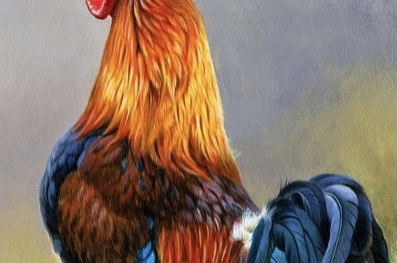 PUBLICIDADE: A INDÚSTRIA QUE MOVE TODAS AS OUTRAS