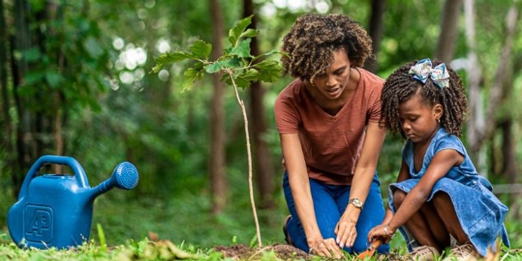 Campanha chama atenção para a necessidade da poda de árvores