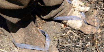 Piauí é o 5° estado com mais trabalhadores resgatados em condições análogas à escravidão