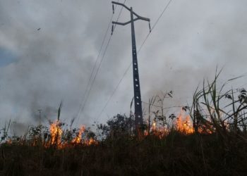 Cresce o número de queimadas que afetam a Rede Elétrica no Piauí