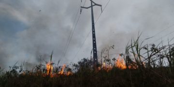 Cresce o número de queimadas que afetam a Rede Elétrica no Piauí