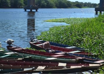 SEMDUH e SAADs iniciam força-tarefa para retirada dos aguapés do Rio Poti