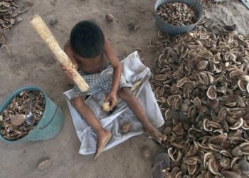 Negros são maioria entre aqueles submetidos a trabalho infantil