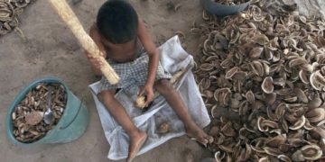 Negros são maioria entre aqueles submetidos a trabalho infantil