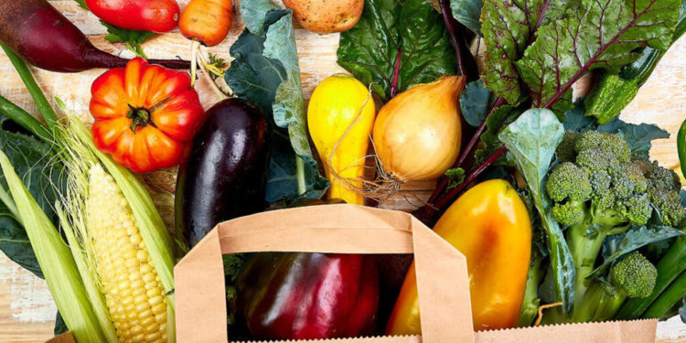 Startup evita o desperdício de mais de 10 toneladas de alimentos