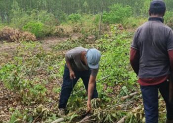 Grupo Móvel resgata quatro trabalhadores no município de Itaueira (PI)