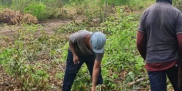 Grupo Móvel resgata quatro trabalhadores no município de Itaueira (PI)