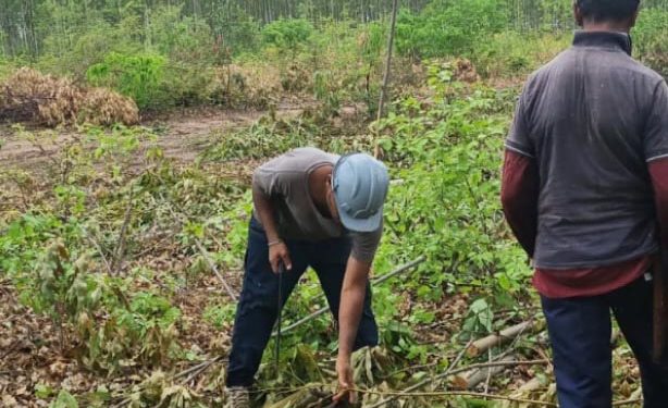 Grupo Móvel resgata quatro trabalhadores no município de Itaueira (PI)