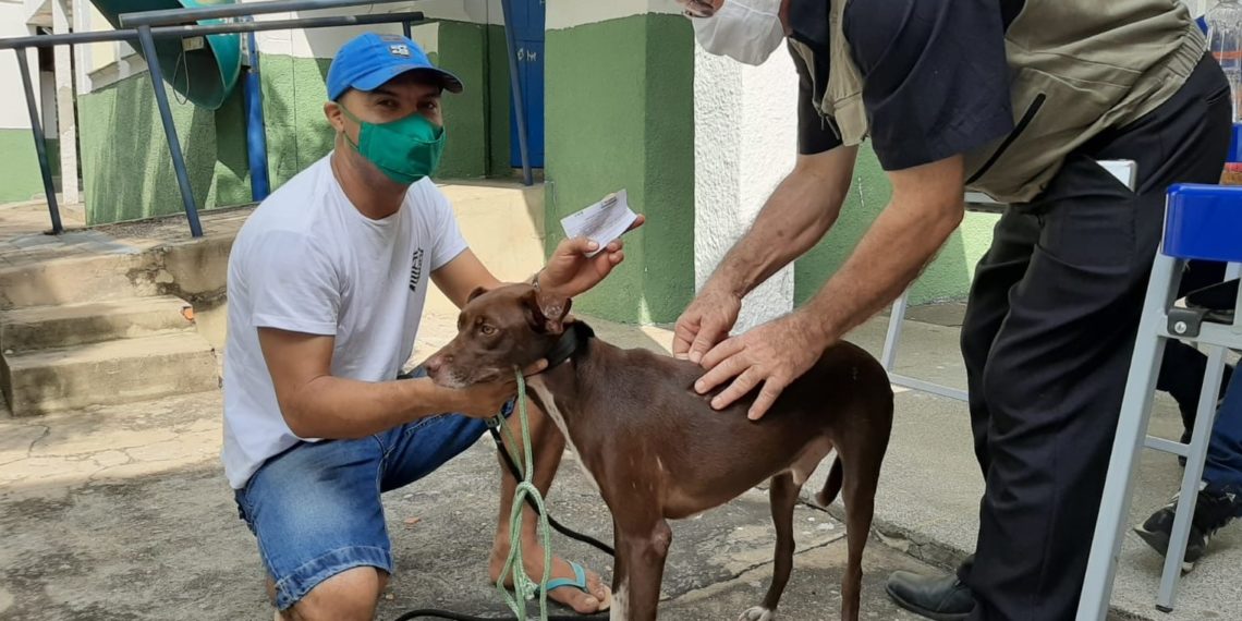 Neste sábado (6) tem vacina contra a raiva nas zona Sul e Sudeste