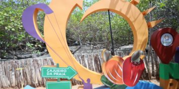 Cajueiro-Rei, do Piauí, pode ser considerado o maior do mundo