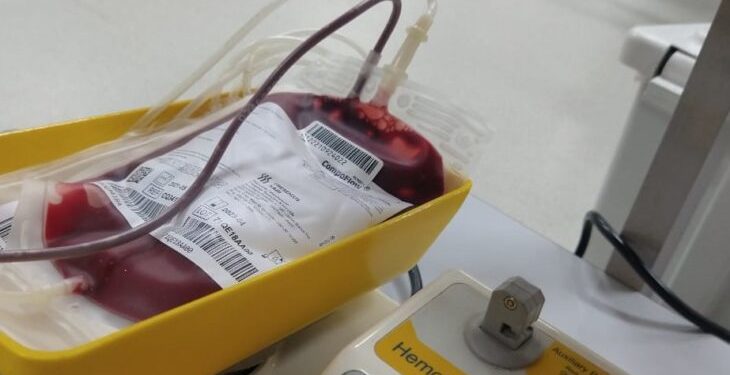 Hemopi teve acréscimo de 11% nas doações de sangue em 2021