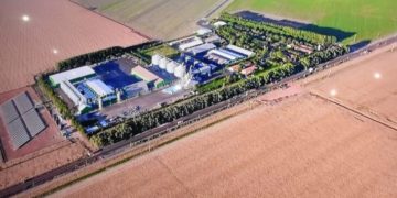 Piauí deve registrar safra recorde de soja