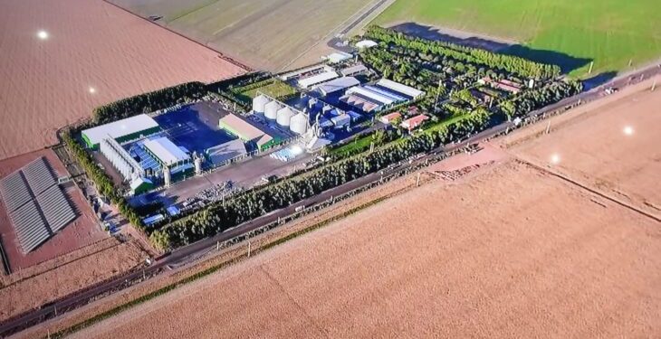 Piauí deve registrar safra recorde de soja