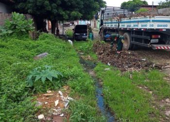 50 proprietários de terrenos abandonados são notificados na zona Norte
