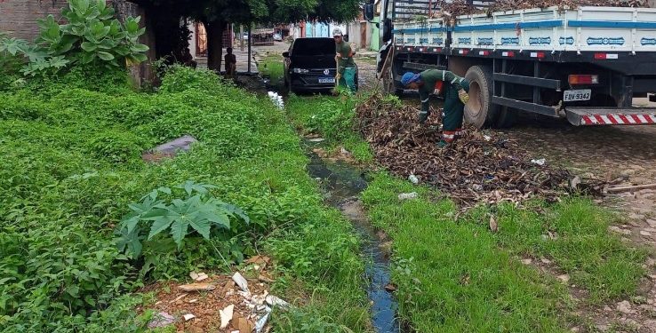 50 proprietários de terrenos abandonados são notificados na zona Norte