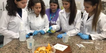 Estudantes criam inseticida à base de tangerina que auxilia combate à dengue