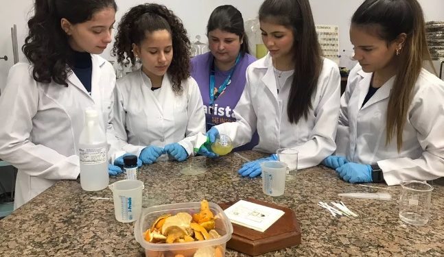 Estudantes criam inseticida à base de tangerina que auxilia combate à dengue