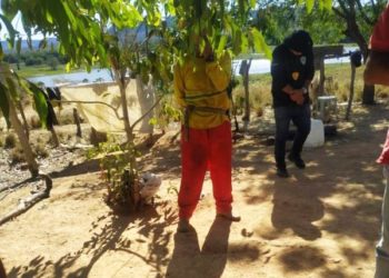 Três trabalhadores são resgatados em situação análoga a de escravidão