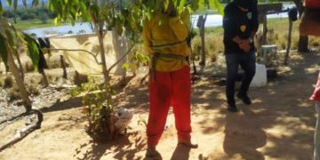 Três trabalhadores são resgatados em situação análoga a de escravidão