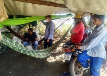 Trabalhadores são resgatados em Currais e Palmeira