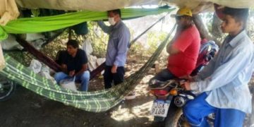 Trabalhadores são resgatados em Currais e Palmeira