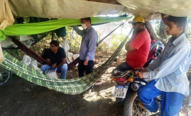 Trabalhadores são resgatados em Currais e Palmeira