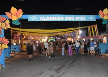 Empreendedores atendidos pelo Sebrae participam de exposição no Festival GiraSol