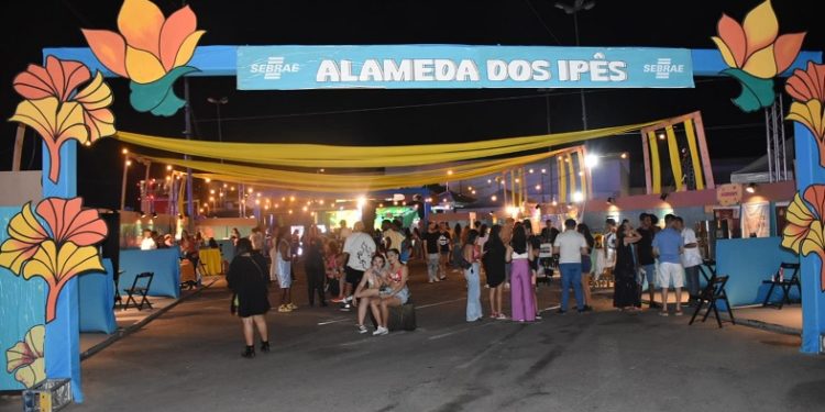 Empreendedores atendidos pelo Sebrae participam de exposição no Festival GiraSol