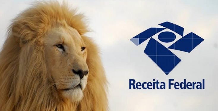 Professor dá dicas para quem caiu na malha fina do “leão”