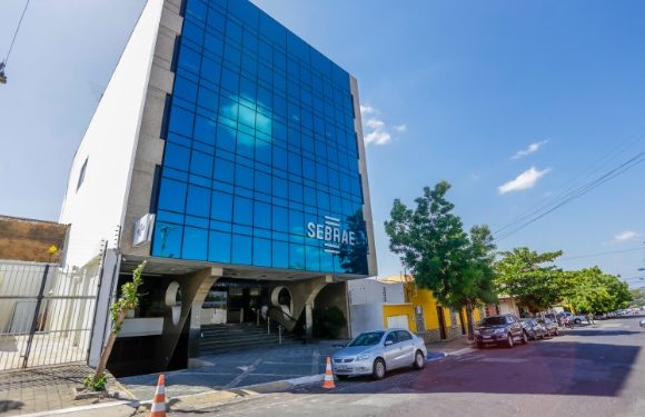 Sebrae ensina a turbinar a divulgação de produtos e serviços na internet