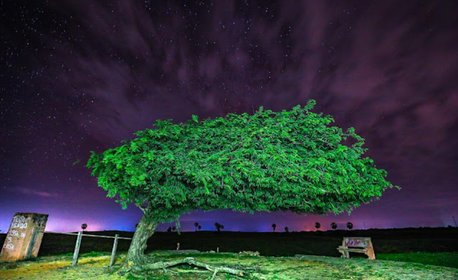 Um futuro desejável para o Piauí passa pelo turismo…