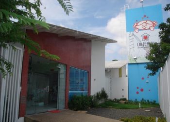 Mais 2000 pessoas foram atendidas pela Rede Feminina de Combate ao Câncer em 2022