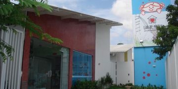 Mais 2000 pessoas foram atendidas pela Rede Feminina de Combate ao Câncer em 2022