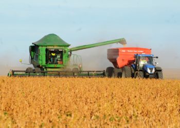 Piauí bateu novo recorde histórico nas exportações em 2022