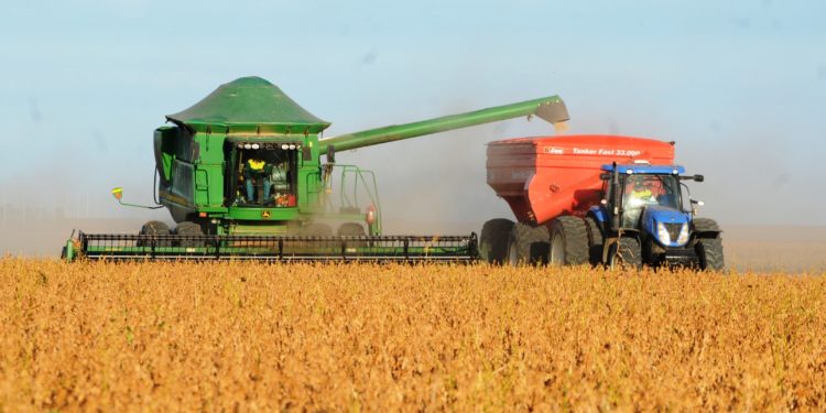 Piauí bateu novo recorde histórico nas exportações em 2022