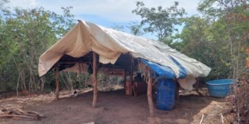 Fiscalização resgata 10 homens em situação análoga à escravidão no sul do Piauí