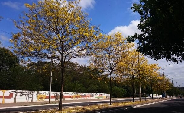 Teresina conquista pela quarta vez o Selo A na Certificação Ambiental