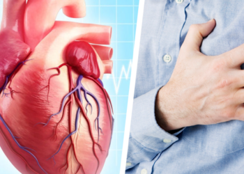 Insuficiência Cardíaca é tema de congresso com presença de 1000 médicos