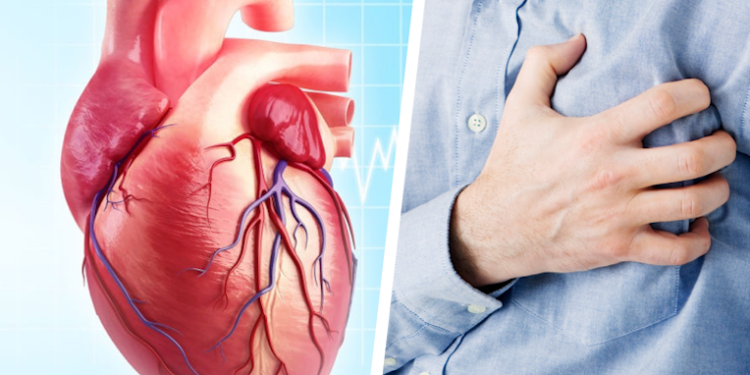 Insuficiência Cardíaca é tema de congresso com presença de 1000 médicos