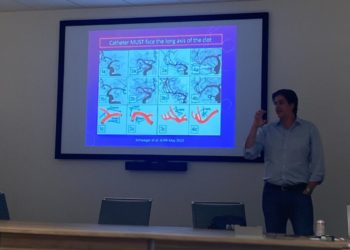 Experiência do HGV em trombectomia mecânica é apresentada nos EUA