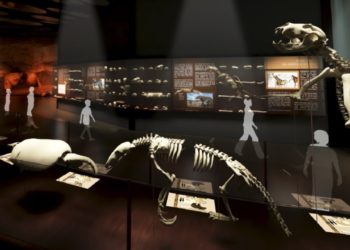IBGE lança publicação com homenagem ao Museu da Natureza, na Serra da Capivara