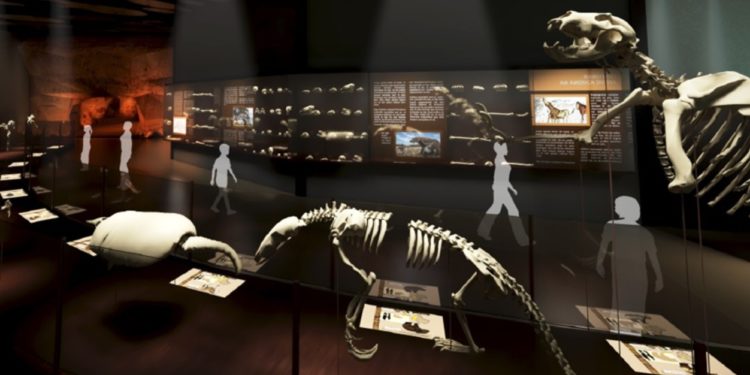 IBGE lança publicação com homenagem ao Museu da Natureza, na Serra da Capivara