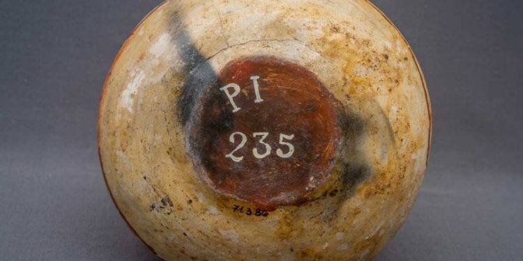 Piauí é destaque na exposição Ensaios para o Museu das Origens